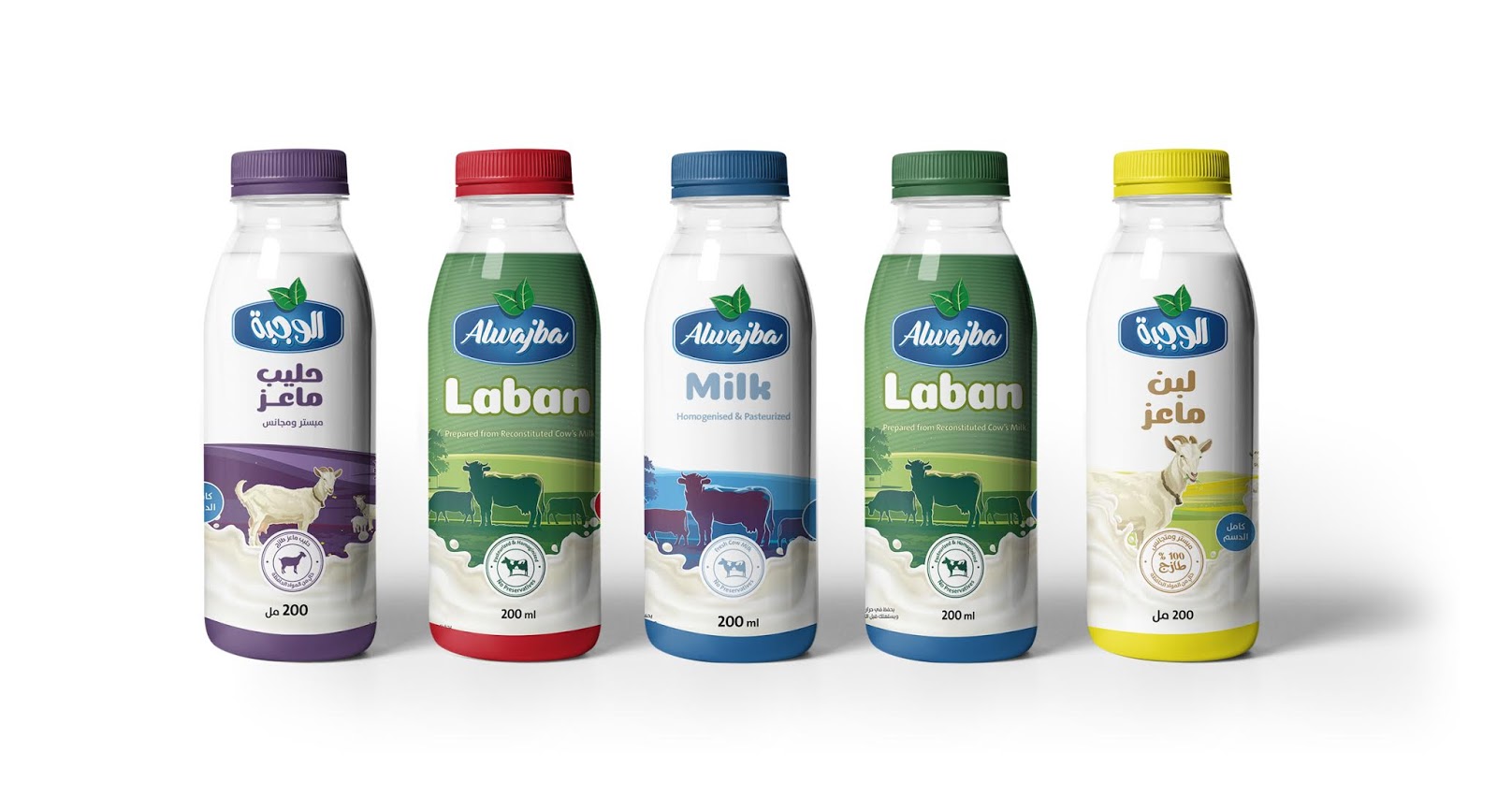 1591685555543442.jpg 1591685555543442.jpg