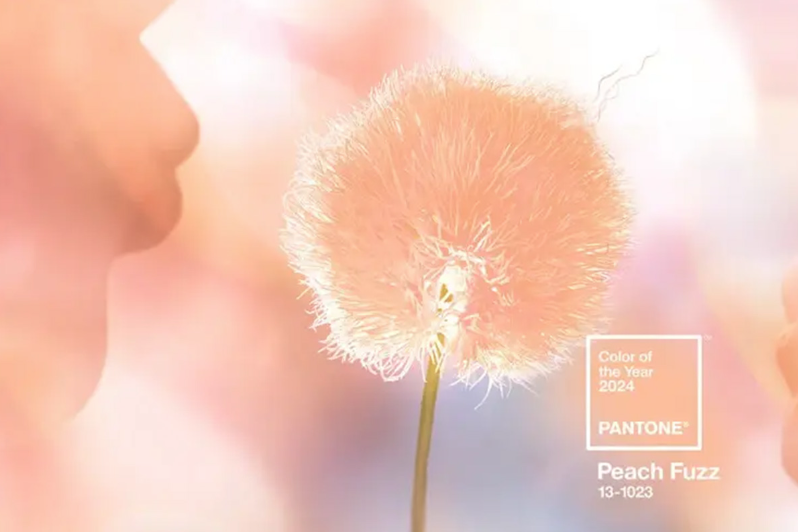 Pantone 2024年度顏色：新的一年，新的趨勢(shì)
