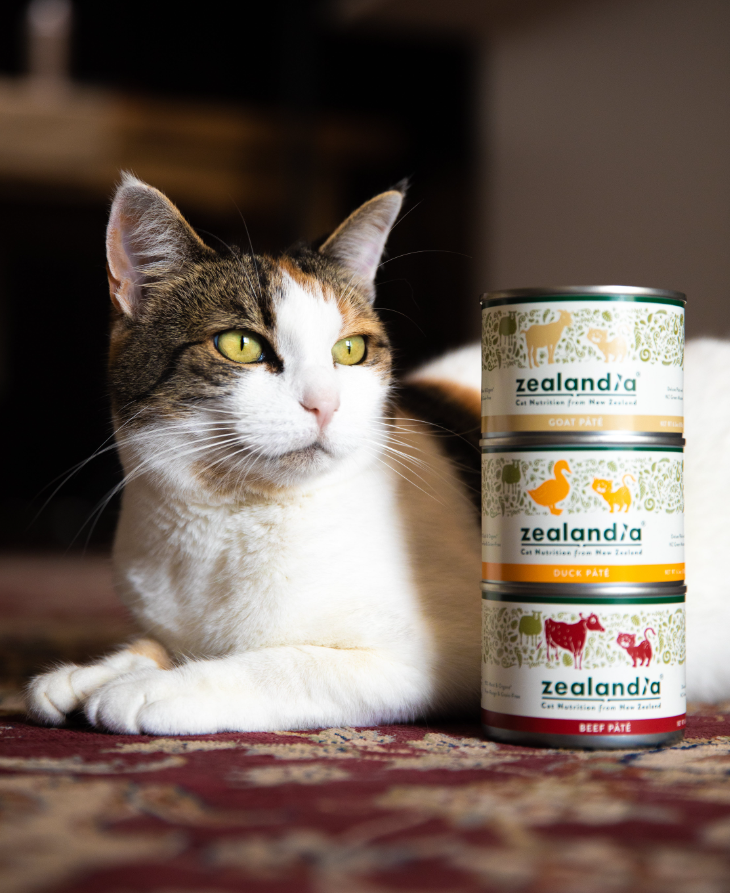 貓營(yíng)養(yǎng)品包裝設(shè)計(jì)